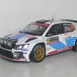 koda Fabia R5 RMC 2017 (Fox18)