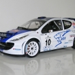 Peugeot 207 S2000 SanRemo 2007 (Sunstar)